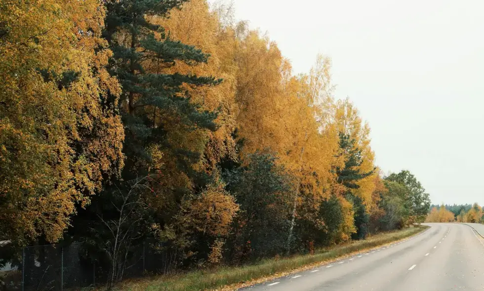 U okolini Kladna završetak velikog renoviranja autoceste D6 usporen je.