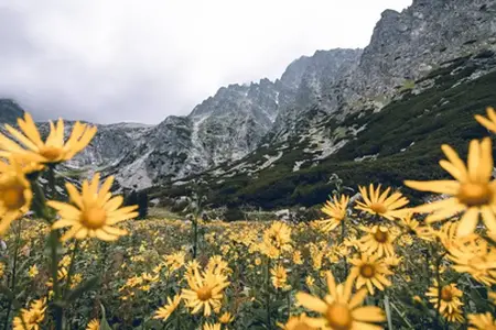 Slowakische Vignette: Der Weg zu Reisemöglichkeiten