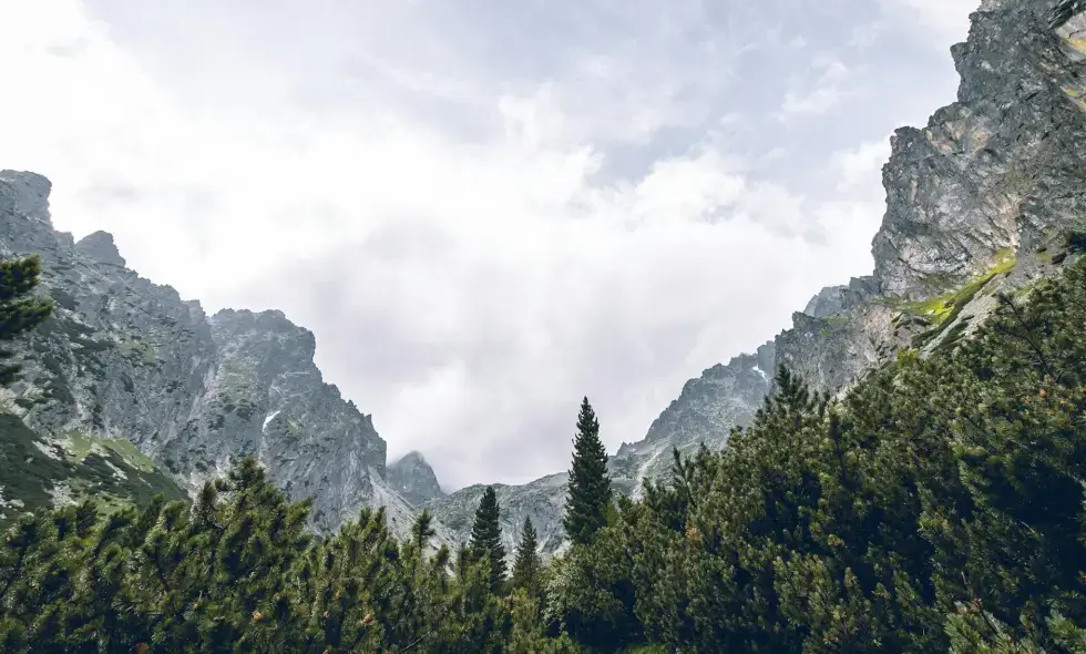 Diaľnice na Slovensku a ich dostupné destinácie
