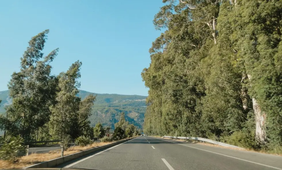 Slovenya otoyolları ve 2025 vinyet satın alma hakkında bilmeniz gerekenler